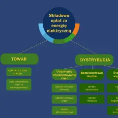 Schemat pokazuje, ile kosztuje 1 kWh energii elektrycznej, dzieląc opłaty na "TOWAR" i "DYSTRYBUCJĘ".