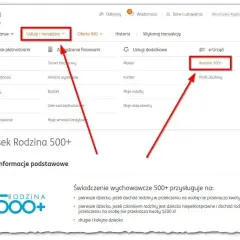 Kliknij "Rodzina 500+" w menu "Usługi dodatkowe", aby złożyć wniosek o świadczenie, gdy 800 plus.
