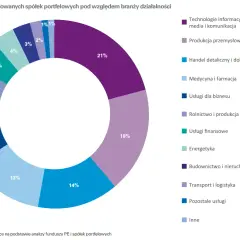 Wykres kołowy pokazuje strukturę branżową spółek portfelowych analizowanych przez Mid Europa Partners. Największy udział mają technologie informacyjne (21%) i produkcja przemysłowa (18%).